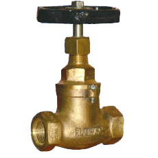 Bronze Steam Valves