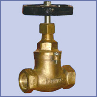 Bronze Steam Valves